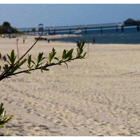 Nyaraló With 3 Bedrooms *