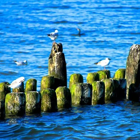 Nyaraló With 3 Bedrooms *