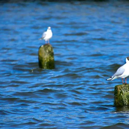 With 3 Bedrooms Nyaraló *