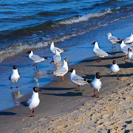 Nyaraló With 3 Bedrooms *